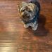 Janice McMichael - Facebook