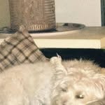 Janice McWilliams - @themacgranny - Instagram