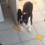 Janice Mcwilliams - Facebook