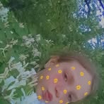 Janice Meeks - Facebook