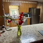 Janice Meeks - Facebook