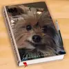 janicemessner - @janicemessner - TikTok