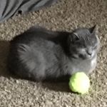 Janice Millard - @janicemillard48 - Instagram