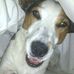 Janice Minter - Facebook