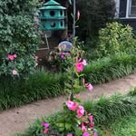Janice Minter - @janiceminter16 - Instagram