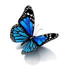 Janice Mitchell - Facebook