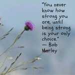 Janice Mitchell - @janicemitchell7166 - Instagram