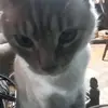 Jan - @janicegmobley - TikTok