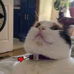 Janice Mobley - @janice.mobley.739 - Instagram
