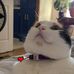 Janice Mobley - Facebook