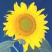 Janice Moeller - Facebook