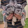 IRRAZISTBULLZ - @janicemolnar - TikTok