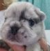 Janice Molnar - Facebook