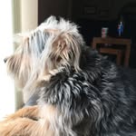 Janice Monk - @janmonk - Instagram