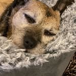 Janice Monk - @g0llings2 - Instagram