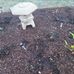 Janice Merritt - Facebook