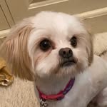 Janice Morley - @morley1480 - Instagram
