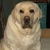 Janice Morrison - Facebook
