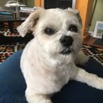 Janice Morrison - @janicemorrison508 - Instagram