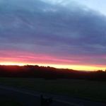 Janice Mortimer - @janice.mortimer.5 - Instagram