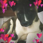 Janice Murdoch - @j44nmu - Instagram