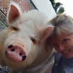 Janice Murdoch - @hawaiirealtorjanice - Instagram