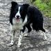 Janice Murdoch - Facebook