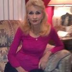 Janice Newton - @newtonscockersgmail.com_ - Instagram