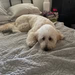 Janice Noles - @noles.janice - Instagram