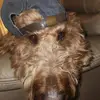 Janice Oaks138 - @janiceoaks138 - TikTok