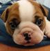 Janice Oaks - Facebook