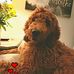 Janice Oaks - Facebook