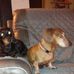 Janice Oliphant - Facebook