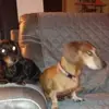 Janice Oliphant - @janice.oliphant - TikTok