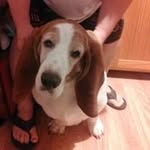 Janice Foster - @janicefoster8094 - Instagram