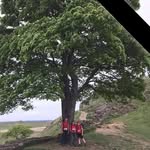 Janice Foster - @janicefoster334 - Instagram