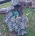 Janice Parise - Facebook