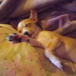 Janice Parrish - @janice.parrish.75098 - Instagram