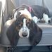 Janice C. Partridge - Facebook
