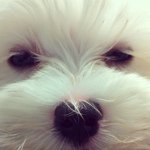 Janice Partridge - @janicepartridge - Instagram