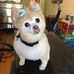 Janice Courtney Peek - Facebook