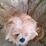 Janice Person - @person.janice - Instagram