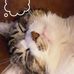 Janice Petrie - Facebook