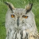 Janice Petrie - @janice.petrie - Instagram