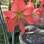 Janice Petrie - @janice.petrie.73 - Instagram