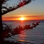Janice Place - @placejanice - Instagram