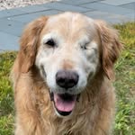 Janice Place - @jplace526 - Instagram