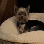 Janice Plemmons - @archie20082009 - Instagram