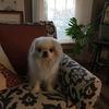 Janice Nelson Plumley - @janice.nelson.plu - TikTok
