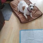 Janice Plumley - @janice.plumley.58 - Instagram
